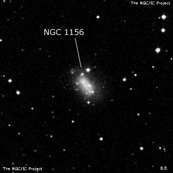 NGC1156