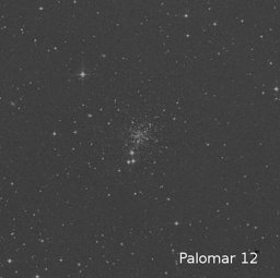 Plalomar12
