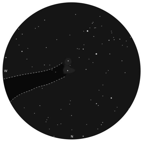 Зарисовка туманности Кокон и Barnard 168