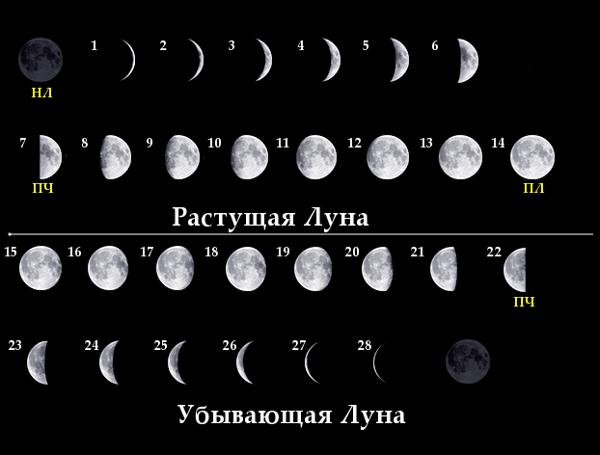 Календарь лунных дней Moon_ph