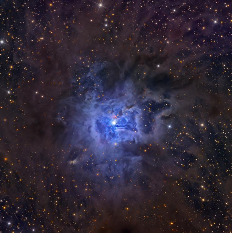 5867d52030178_NGC7023.thumb.jpg.d855be0b