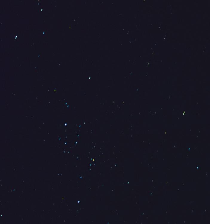 BEDDE6E7-42F9-40CE-AAB5-CF662742A870.jpeg