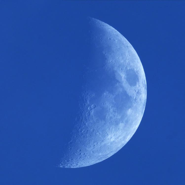 P6191128r.thumb.jpg.2ef928367a0dc6fa4f13