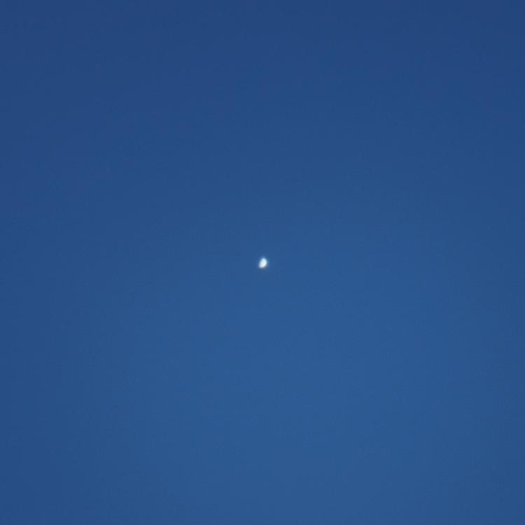 P7071657c.thumb.jpg.aebedb3fe590cb3ccd8d