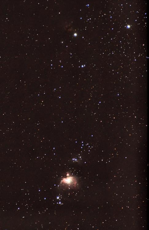 M42ab.thumb.jpg.478f0f849fbe9c1e58c3e8ee