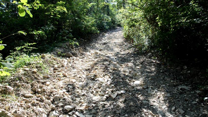 DSC_0110_way_in_mountin_845x475.jpg.d517