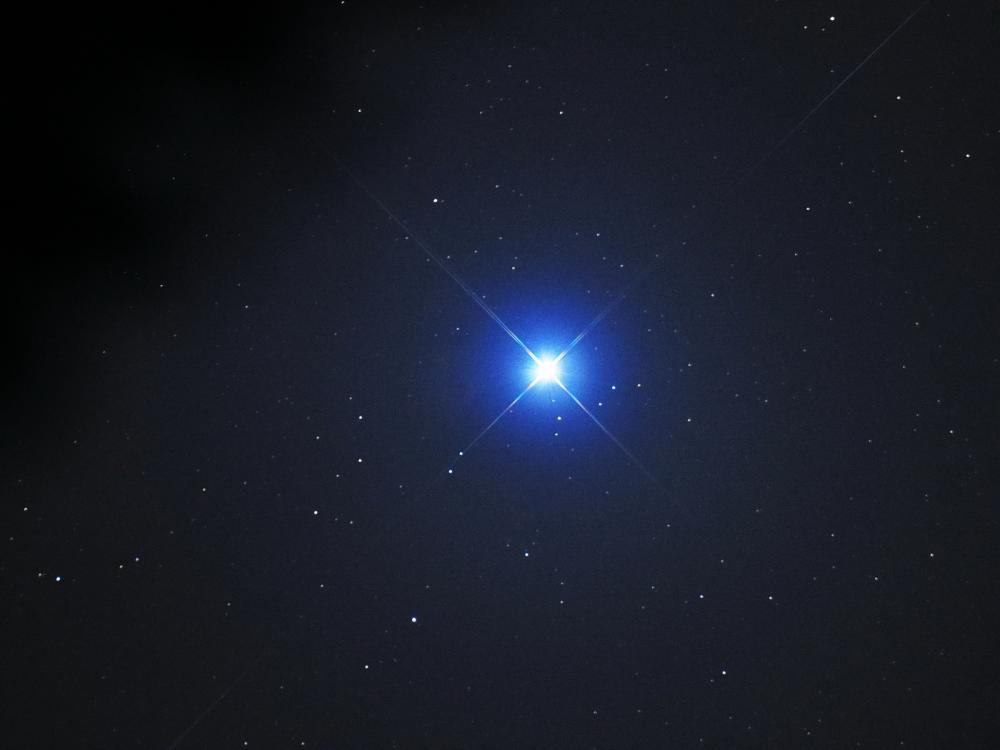 P2229859.jpg