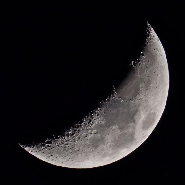 P3120078ar.thumb.jpg.e5bda7c69952ea51546