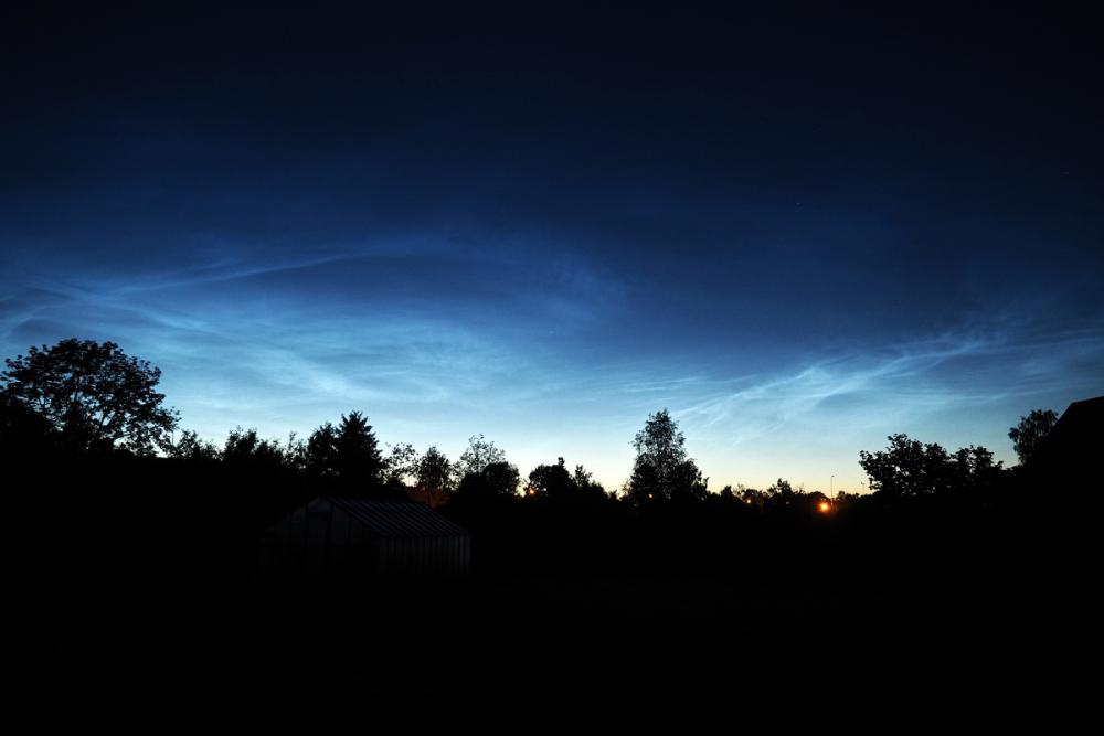 P6234828r.thumb.jpg.36a5014c30d98f91701a