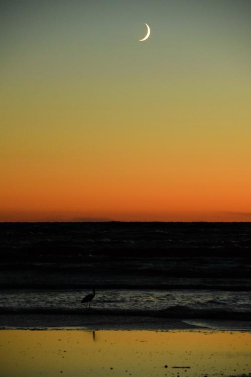 DSC_3682r.thumb.jpg.2922ea6cf22a37a7bc18