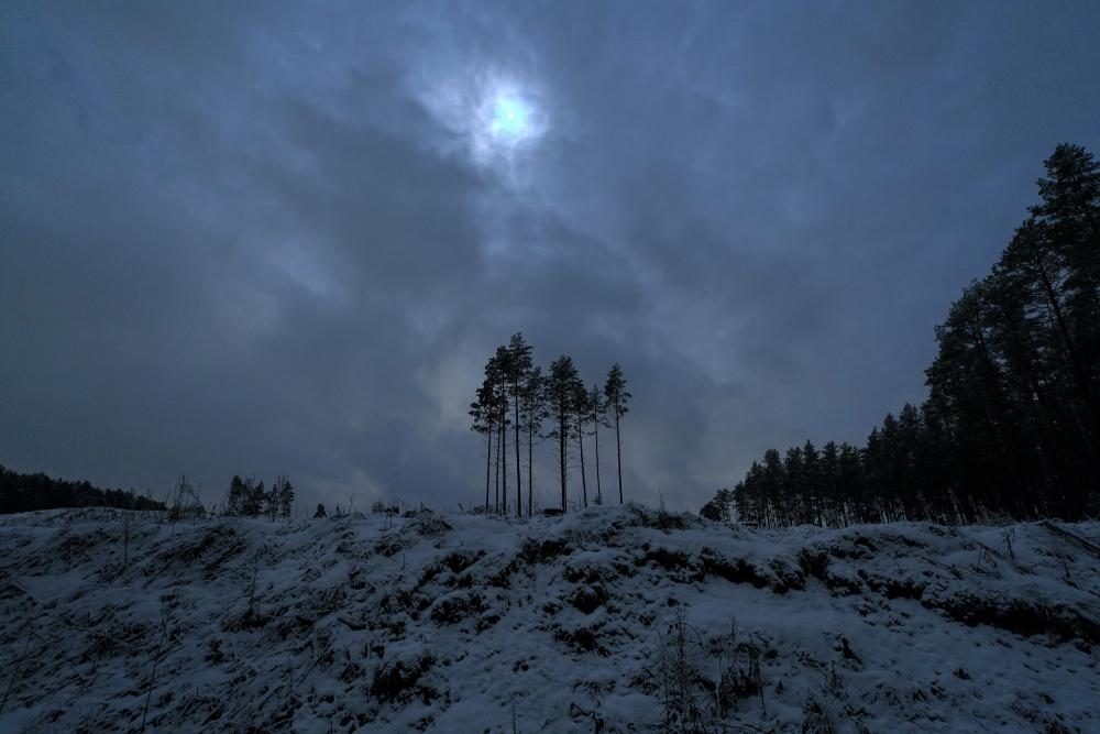 DSCX4204r.thumb.jpg.d64707dcb5ed3171ab1a