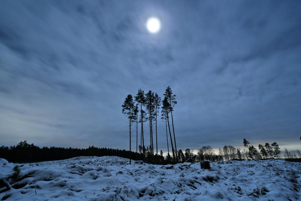 DSCX4410r.thumb.jpg.7a61011df42ebf657a87