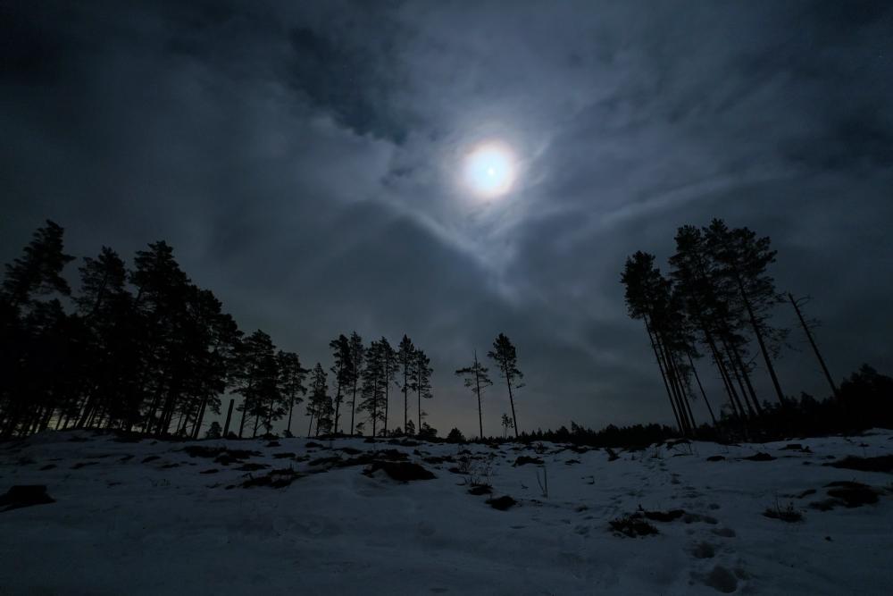 DSCX5554r.thumb.jpg.42f3a0126ec898c9324f